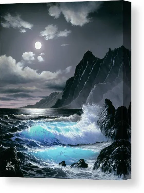 2336t0 Canvas Print