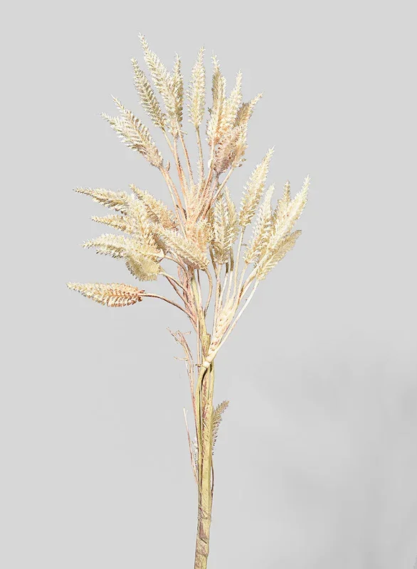 25in Tall Bunny Tail Grass Branch, Case of 12
