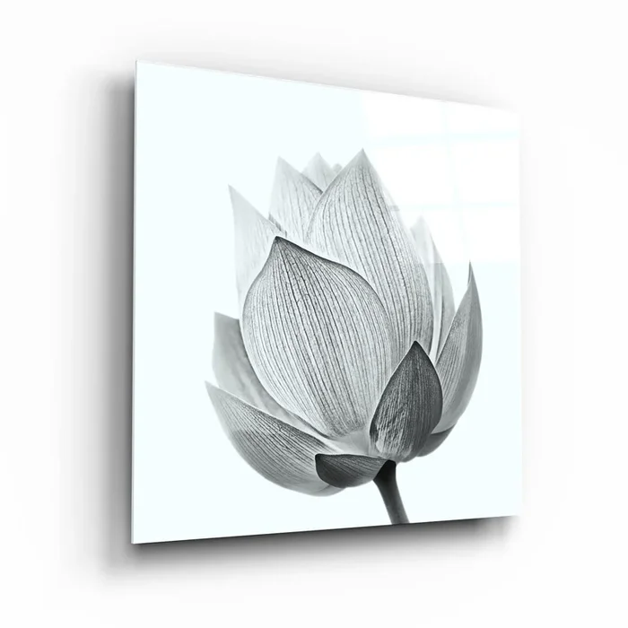 ・”B&W Tulip”・Glass Wall Art