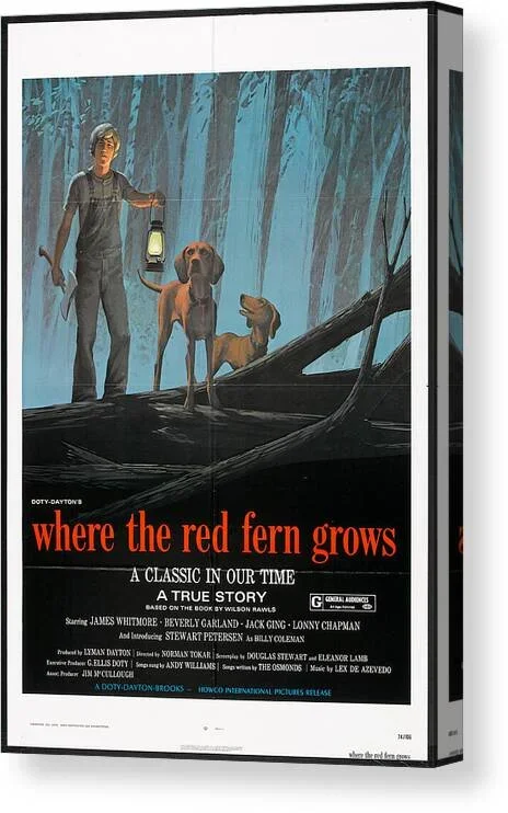 ”Where the Red Fern Grows”, 1974 Canvas Print