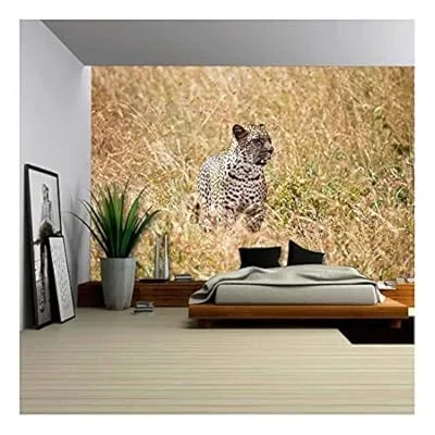 a Large Adult Leopard Looks Through The Tall Grasses of The Savanna in Search of His Next Meal – Removable Wall Mural | Self-Adhesive Large Wallpaper – 66×96 inches