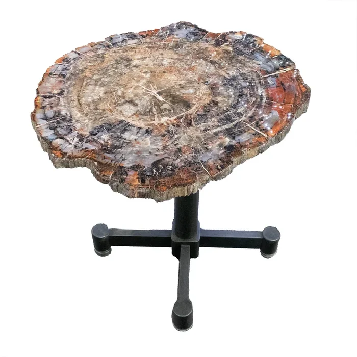 Arizona Petrified Wood Slice – Brecciated Browns & White