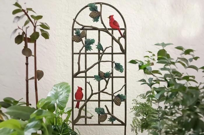 Cardinal Majesty Garden Trellis