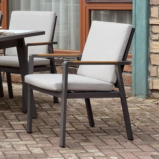 Furniture of America Alycia CM-OT2141AC-6PK Arm Chair