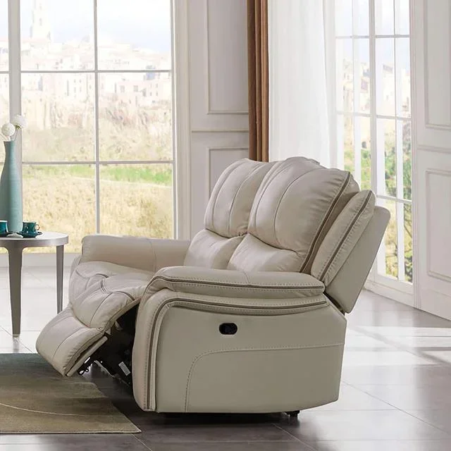 Furniture of America Henricus CM9911BG-LV Loveseat