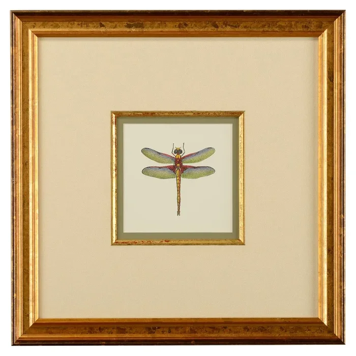 Golden Dragonfly Miniature Artwork Print with Matting