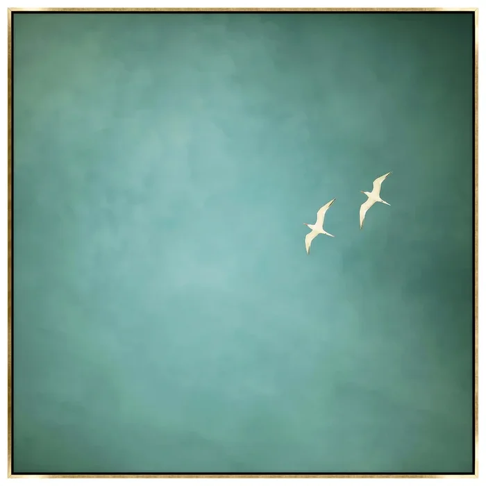 Two Birds Framed