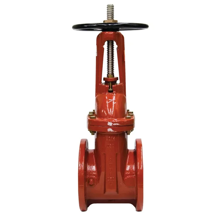 Watts 408-OSY-RW 12 Valve