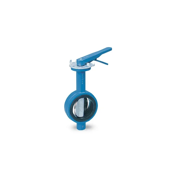 Watts DBF-04-121-25-M2 2 1/2 Valve